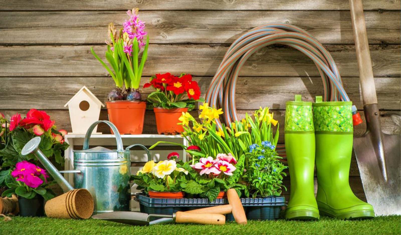 £5 Cashback on a £5+ Spend on Gardening