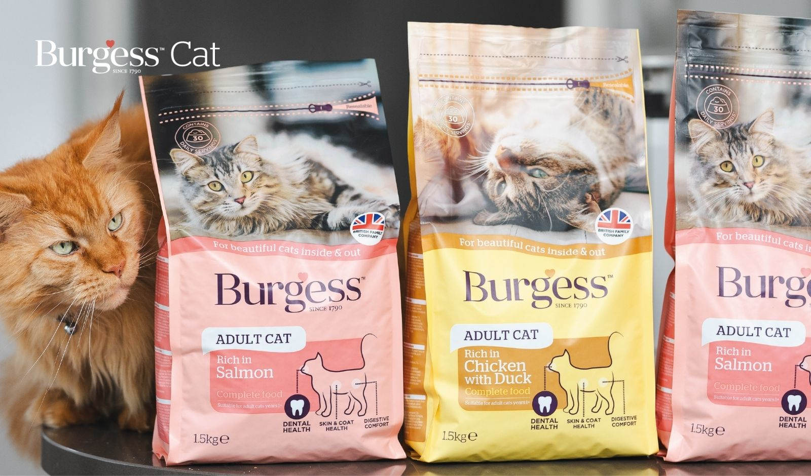 Save 15% on your next order of Dog & Cat food with Burgess Pet Care!